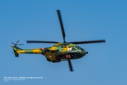 _DSC0714