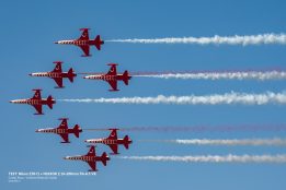 _DSC0811