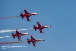 _DSC0919