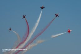_DSC0953
