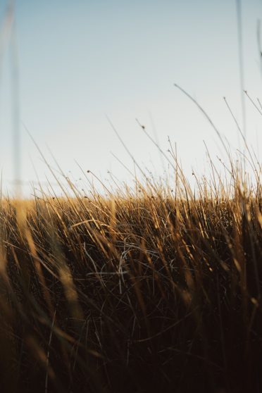 JackRedgate_ImpressionPhoto_001