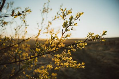 JackRedgate_ImpressionPhoto_011