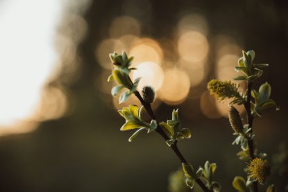 JackRedgate_ImpressionPhoto_023