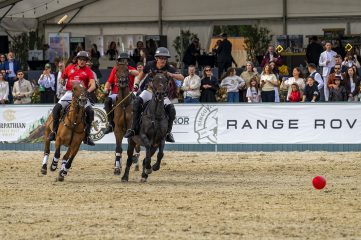 00164 Singureni polo Cup 2026