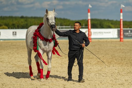 04199 Singureni polo Cup 2026