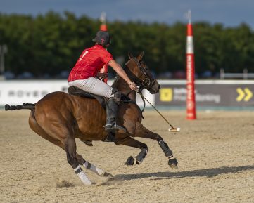 04396 Singureni polo Cup 2026